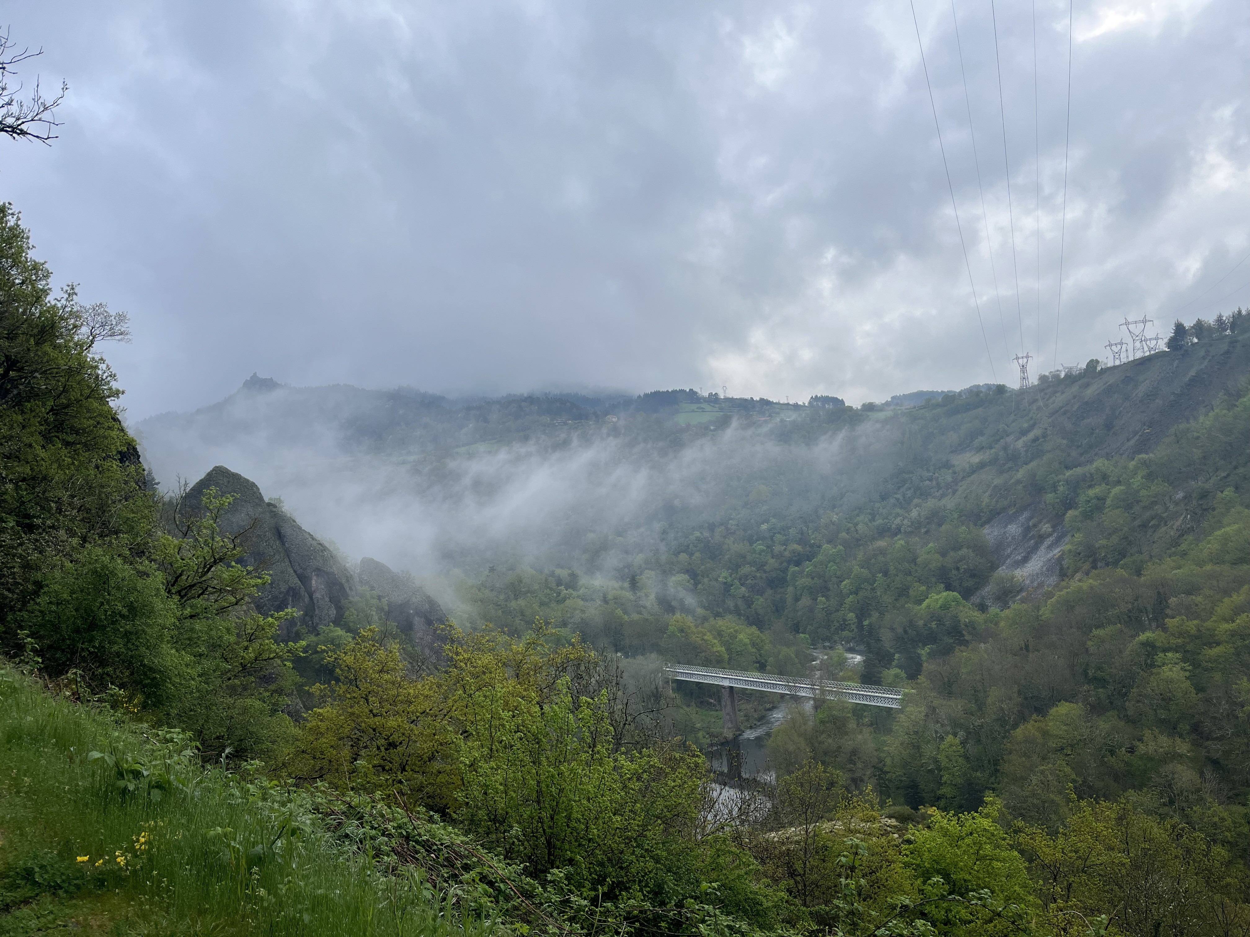 Img 7194
