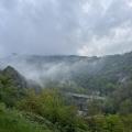 Img 7194