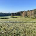 Img 7261