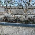 Img 7294