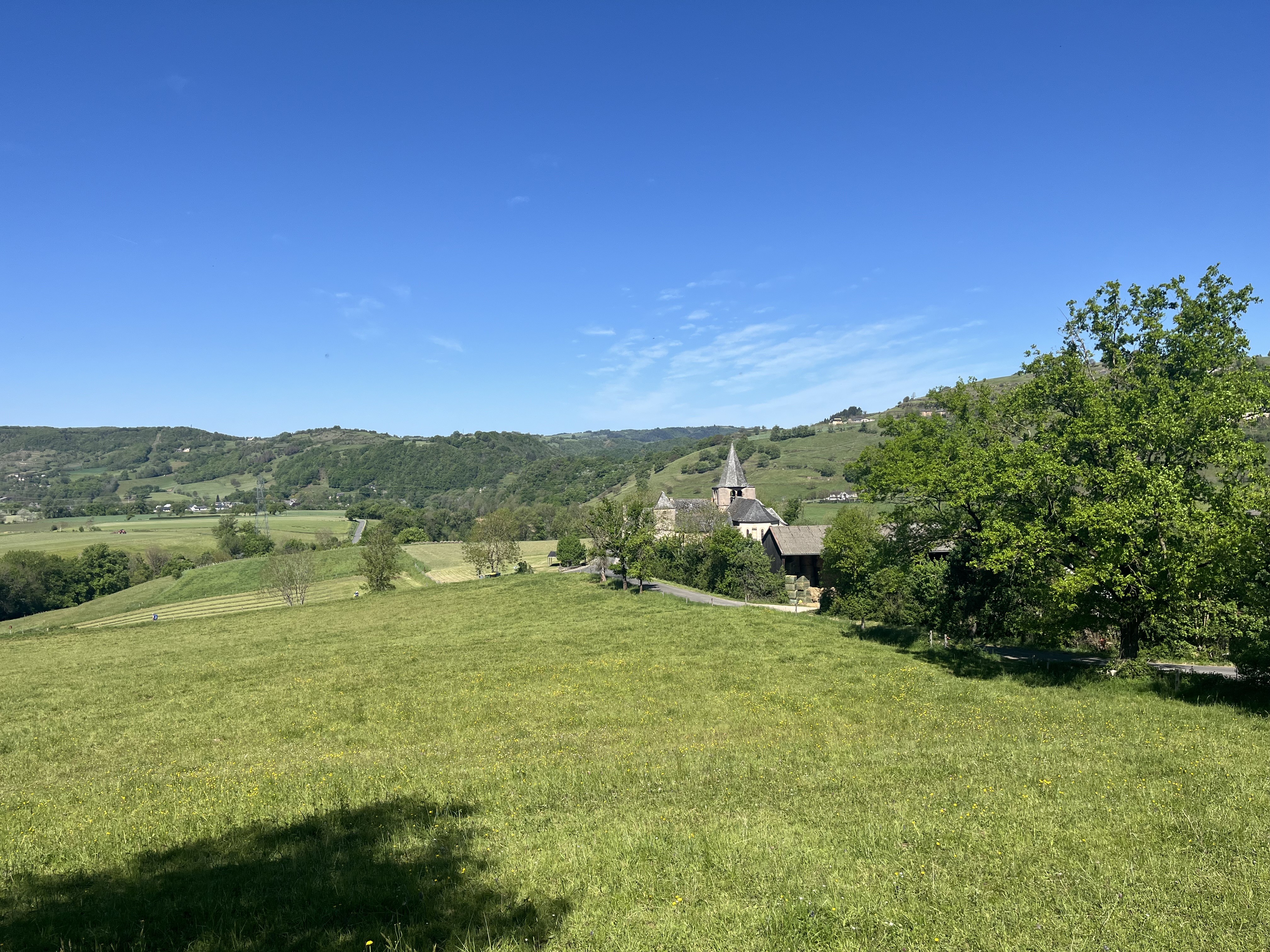 Img 7340