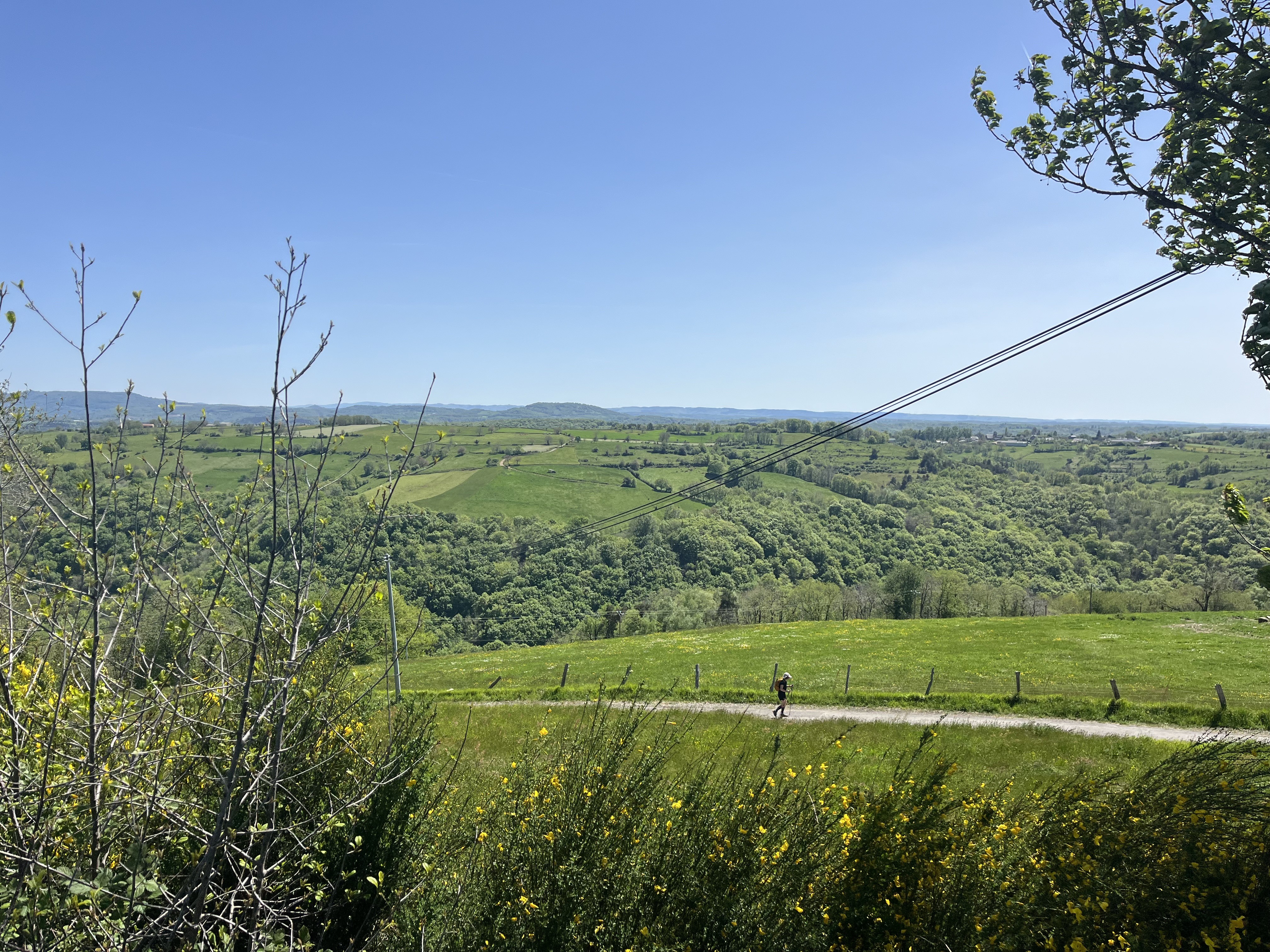Img 7349