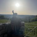 Img 7356
