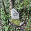 Img 7485
