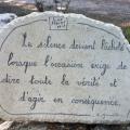 Img 7486