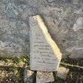 Img 7487