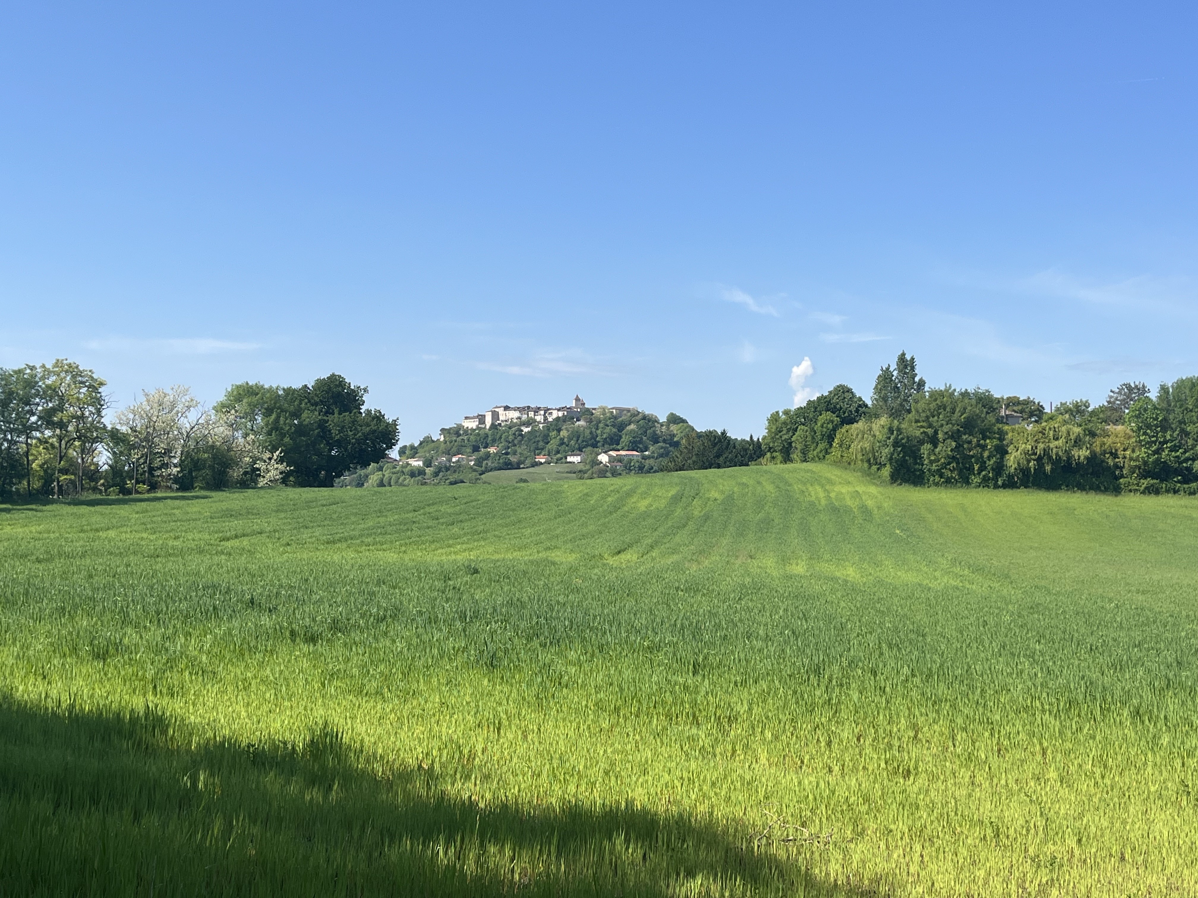 Img 7491