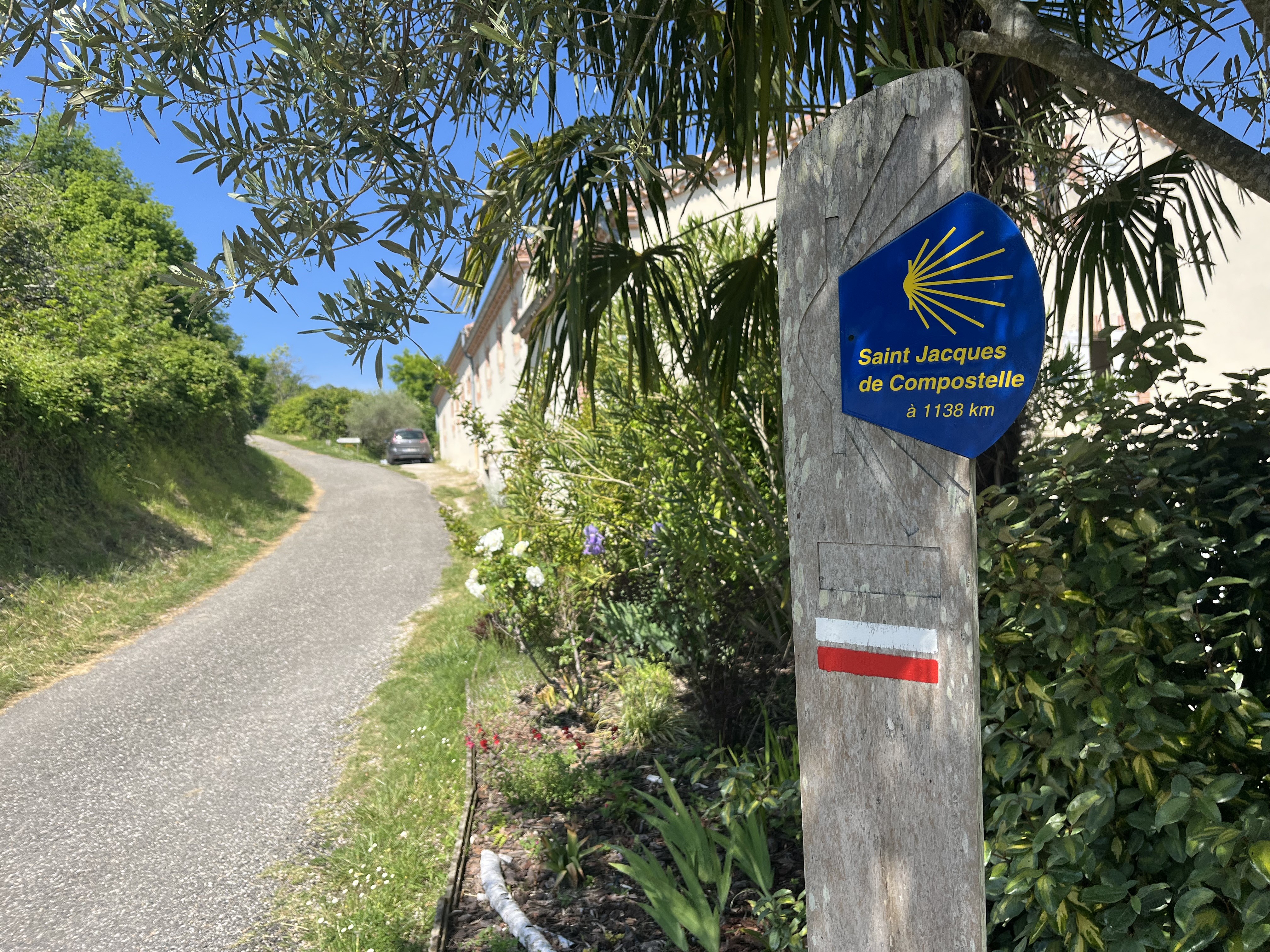 Img 7492