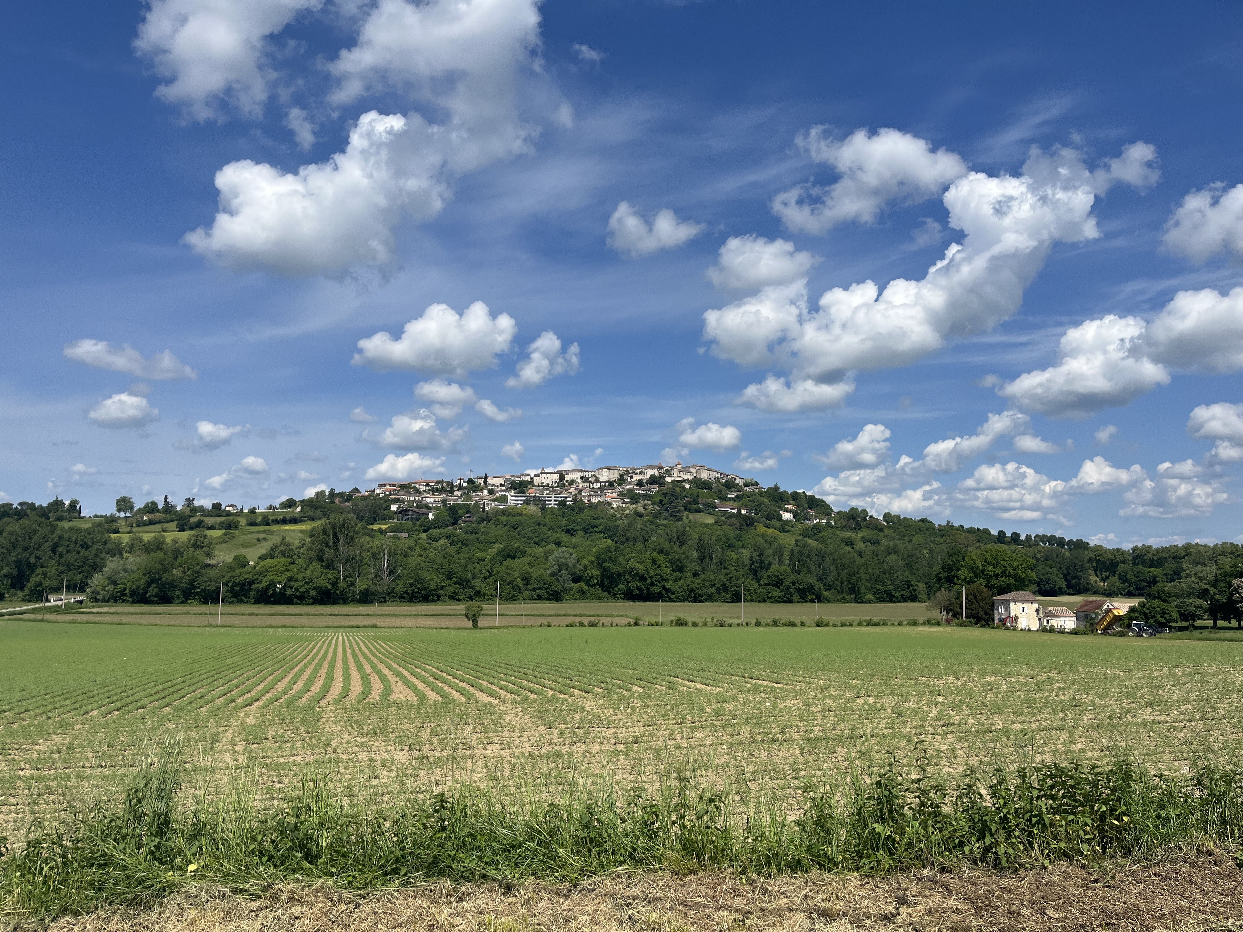 Img 7497