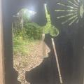 Img 7504