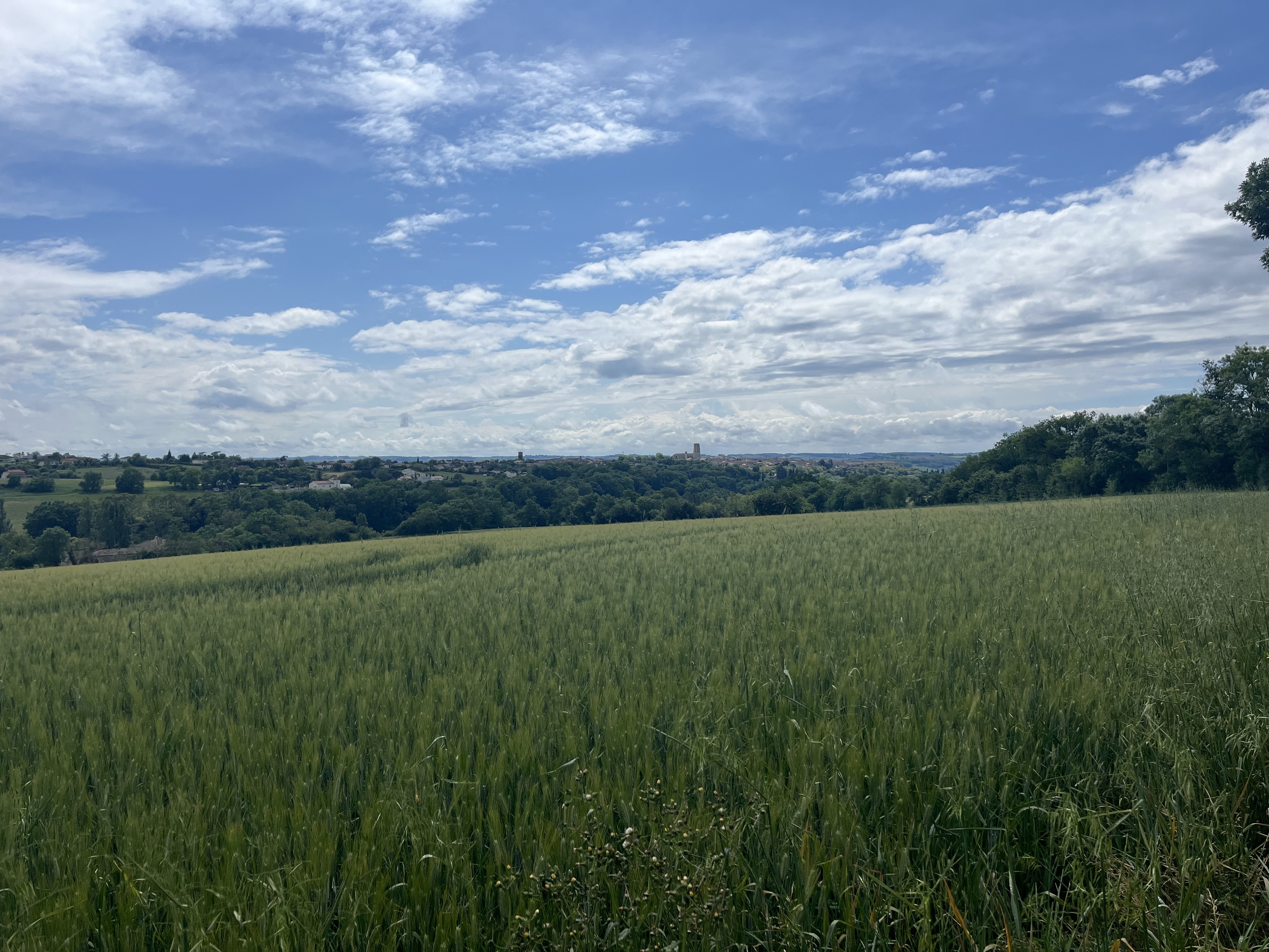 Lectoure