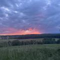 Img 7568