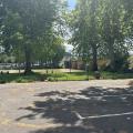 Img 7592