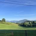 Img 7652