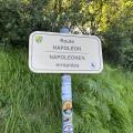 Img 7653