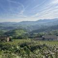 Img 7657