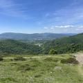 Img 7677