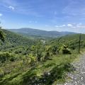 Img 7678