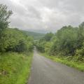 Img 7688
