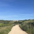 Img 7745
