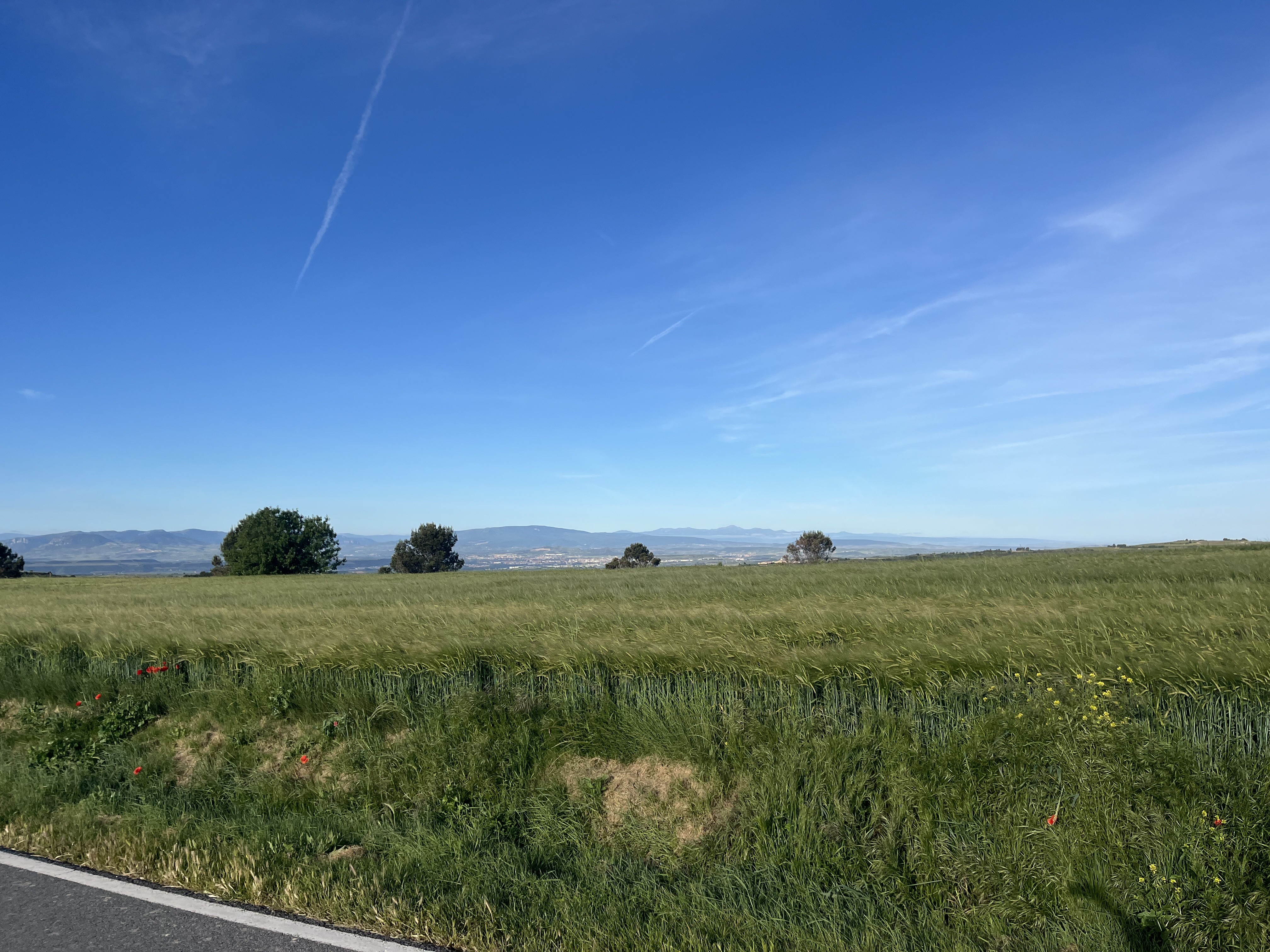 Img 7775