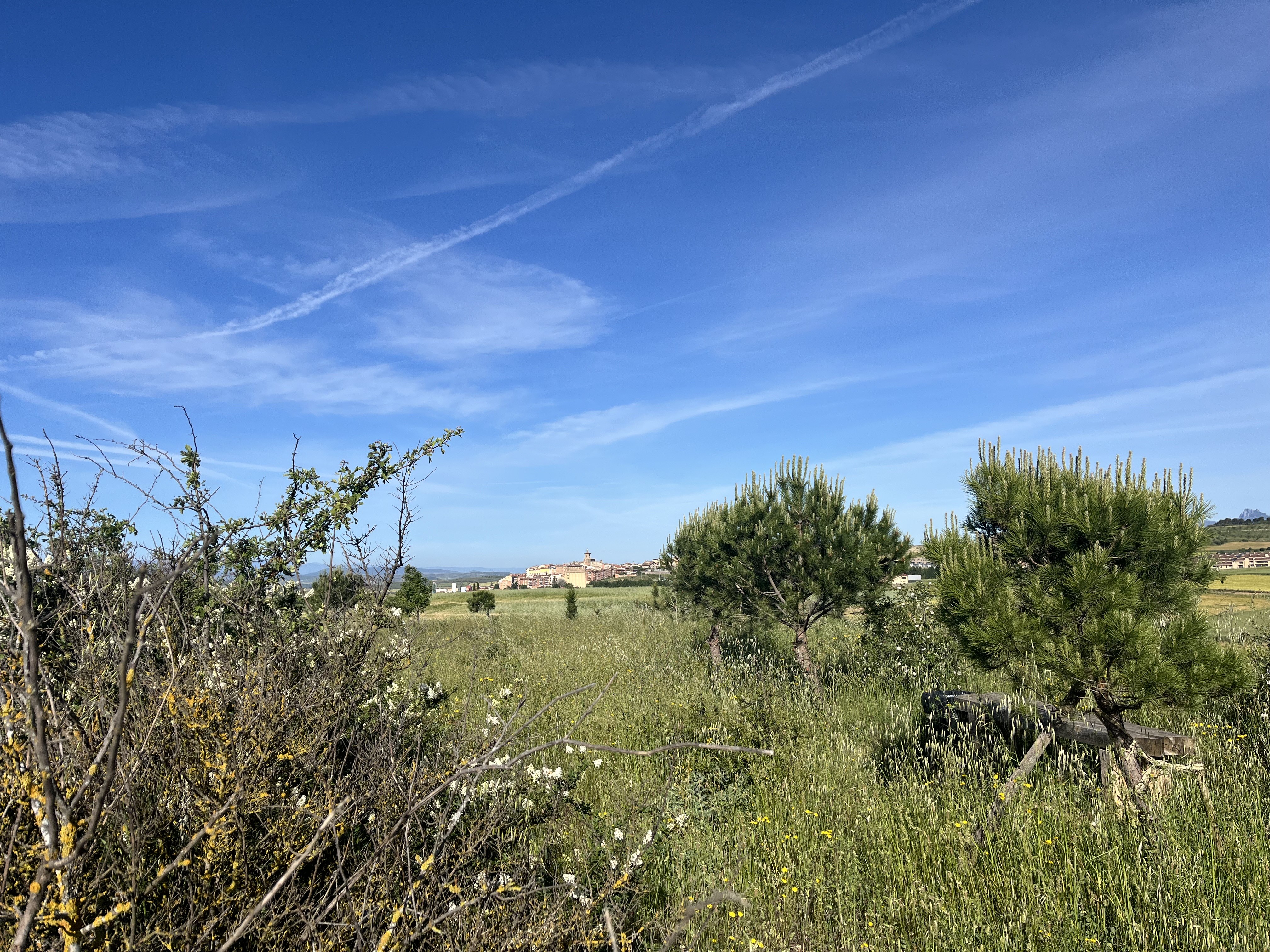 Img 7780