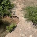 Img 7790
