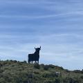 Img 7792