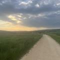 Img 7845