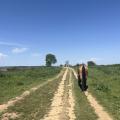 Img 7846