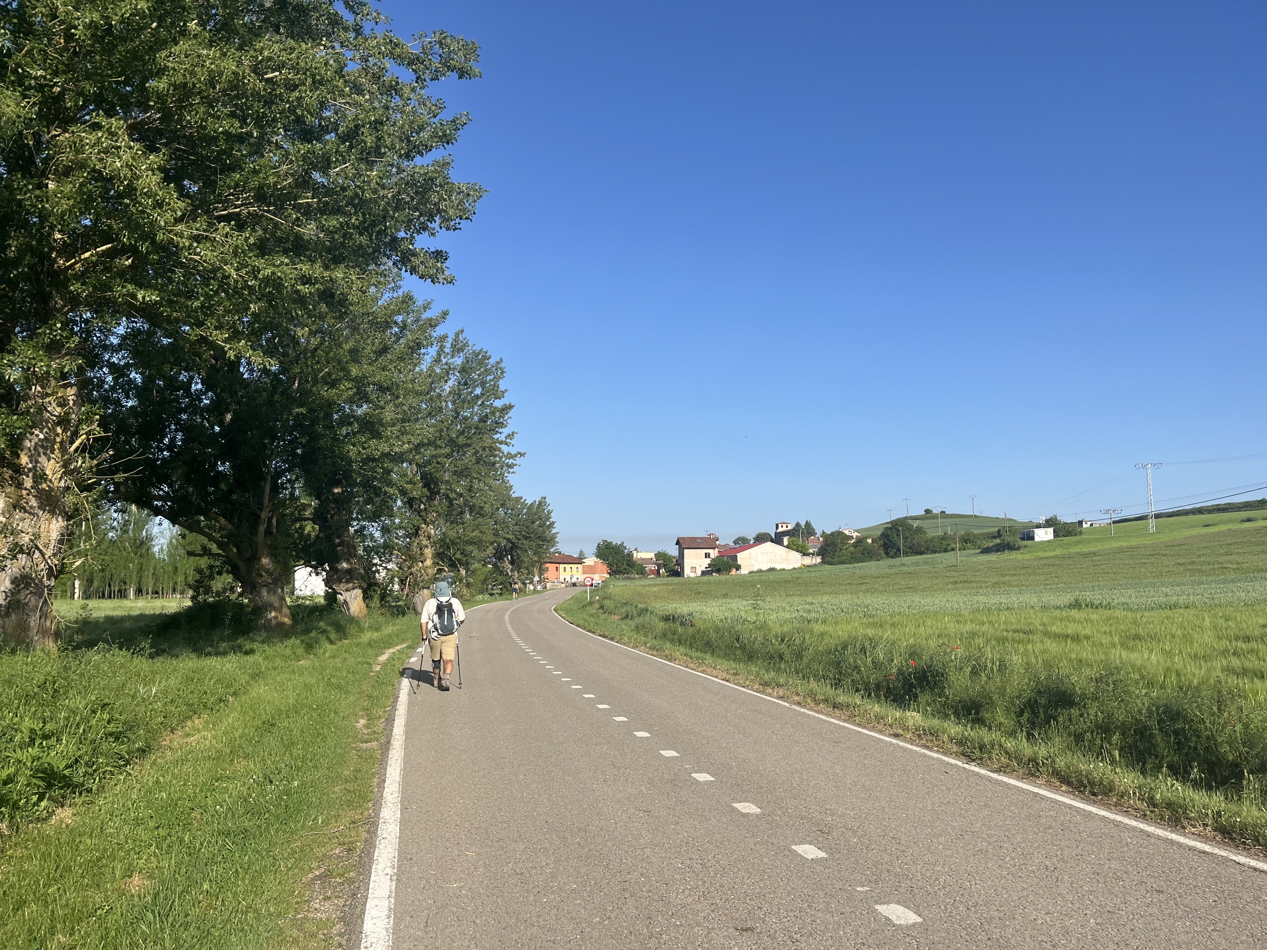 Img 7851