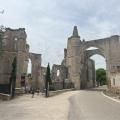 Img 7888
