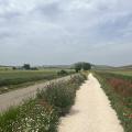 Img 7889
