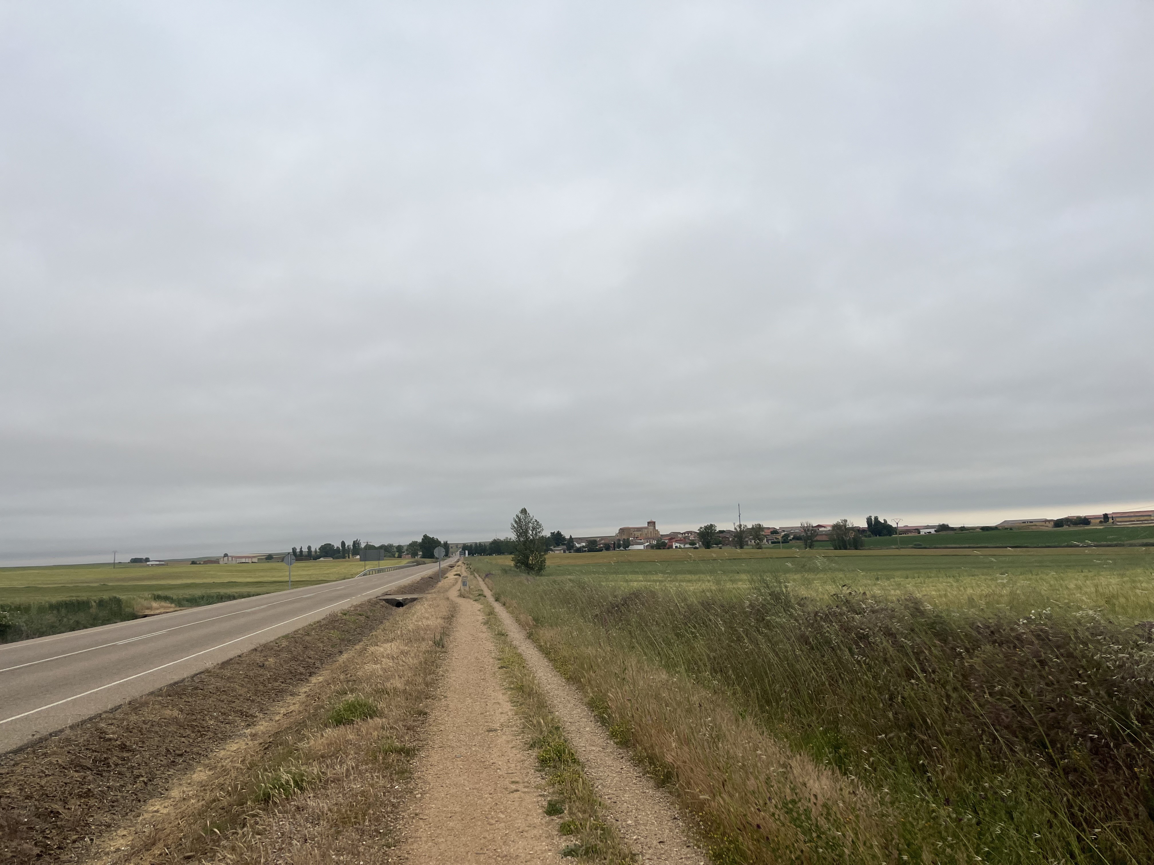 Img 7952