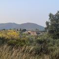 Img 8069