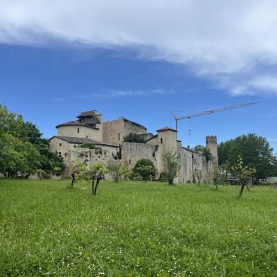 Img 7558
