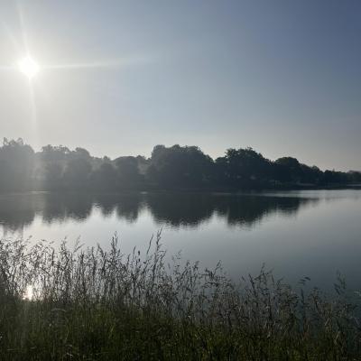 Img 7610