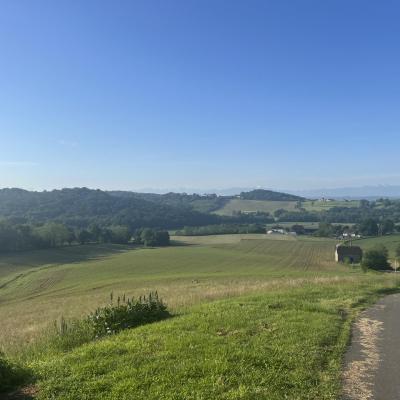 Img 7624