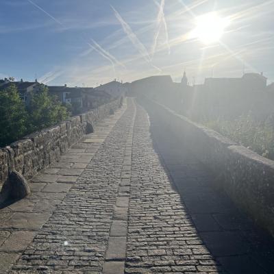 Img 7743
