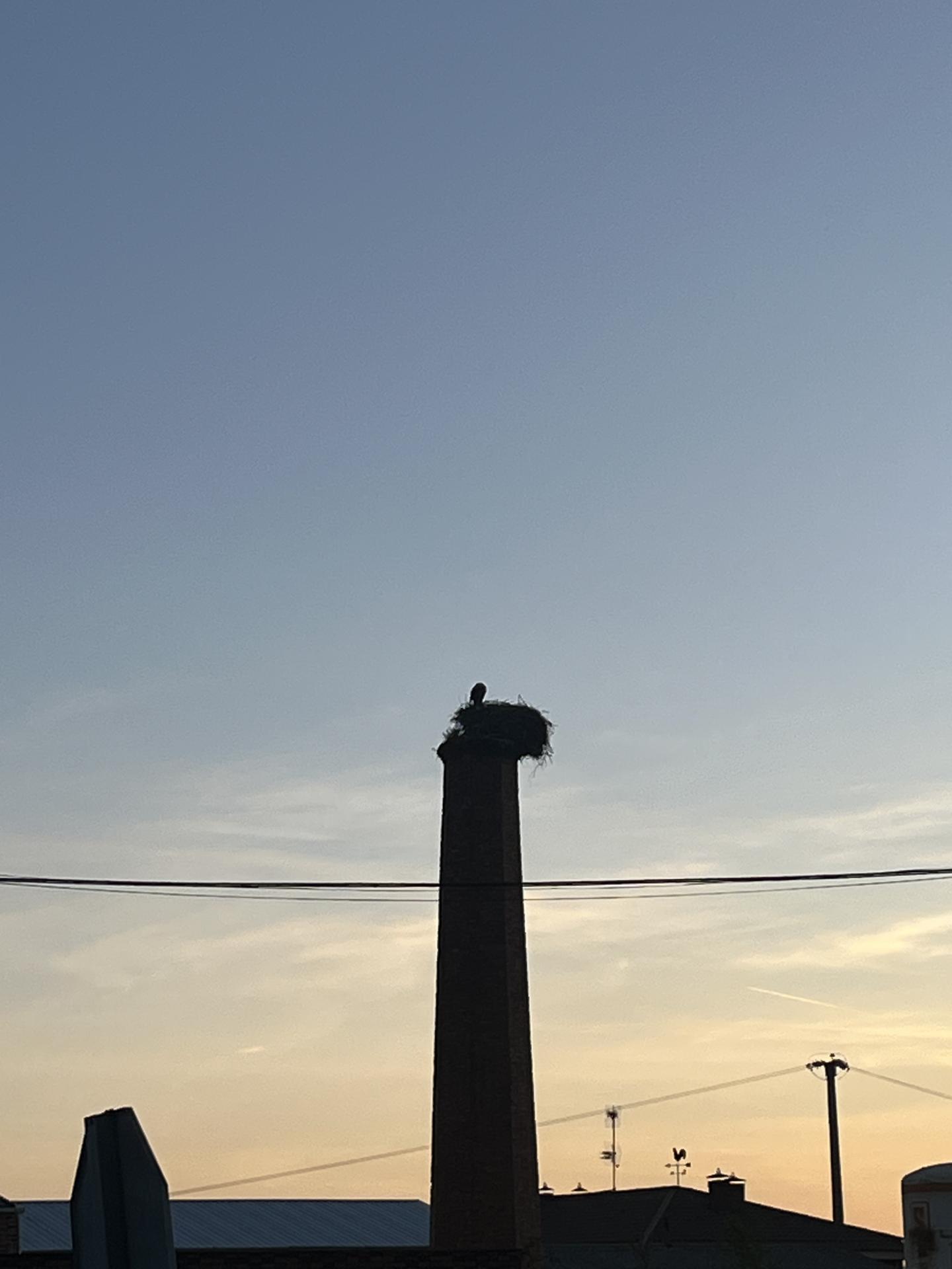 Img 7799