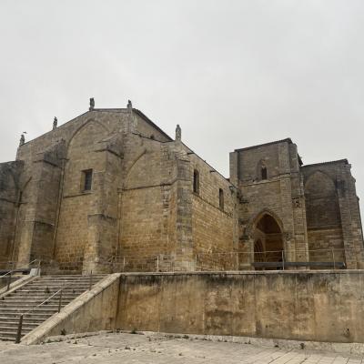 Img 7953